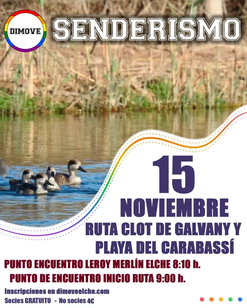 WEB SENDERISMO 15 11